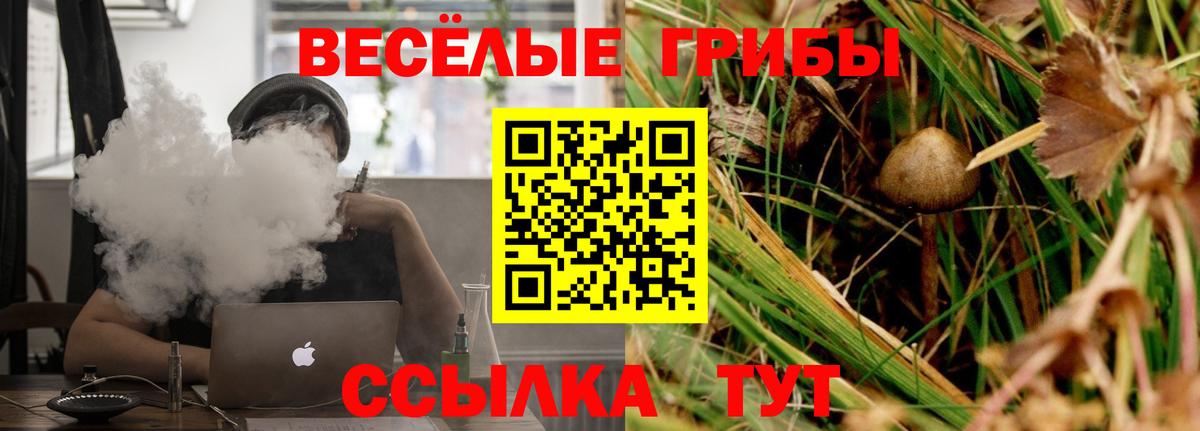 Псилоцибиновые грибы прущие грибы  Вход с VPN  Минусинск 