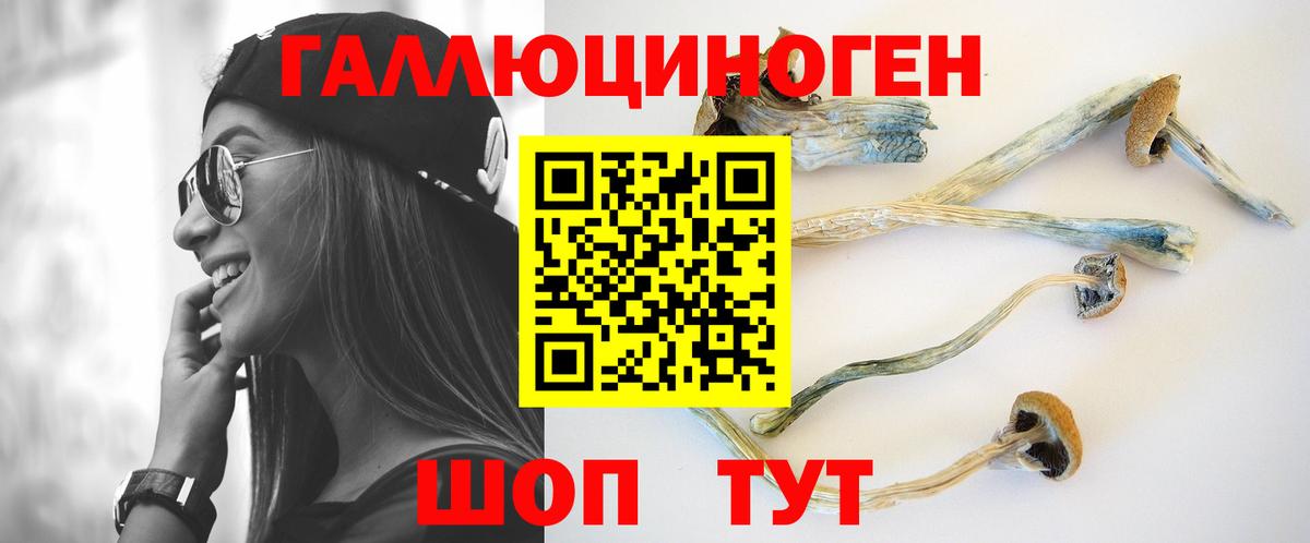 Псилоцибиновые грибы ЛСД Минусинск