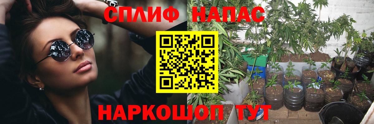 Минусинск  Каннабис планчик  Бошки марихуана OG Kush  Вход с VPN  Бошки Шишки семена 